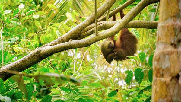 Costa Rica, undefined